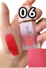 رژگونه مایع چشم و گونه اسنس کد 06 - Image 3