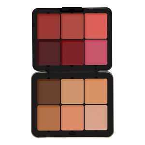 پالت کانتور و رژگونه فیوچر میکاپ مدل High Definition شماره 103