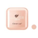 کوشن کلور کت مدل حلزون شماره 22 به همراه پد ارایشی