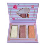 پالت هایلایتر کوین کوکو مدل مینی کد 01