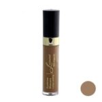 ریمل ابرو لوسمنت شماره 1