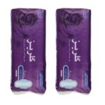 نوار بهداشتی گلریز کد 10 مجموعه 2 عددی