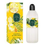 محلول ضد عفونی کننده دست ایوب صبری تانچر مدل Klasik Limon حجم 400 میلی لیتر