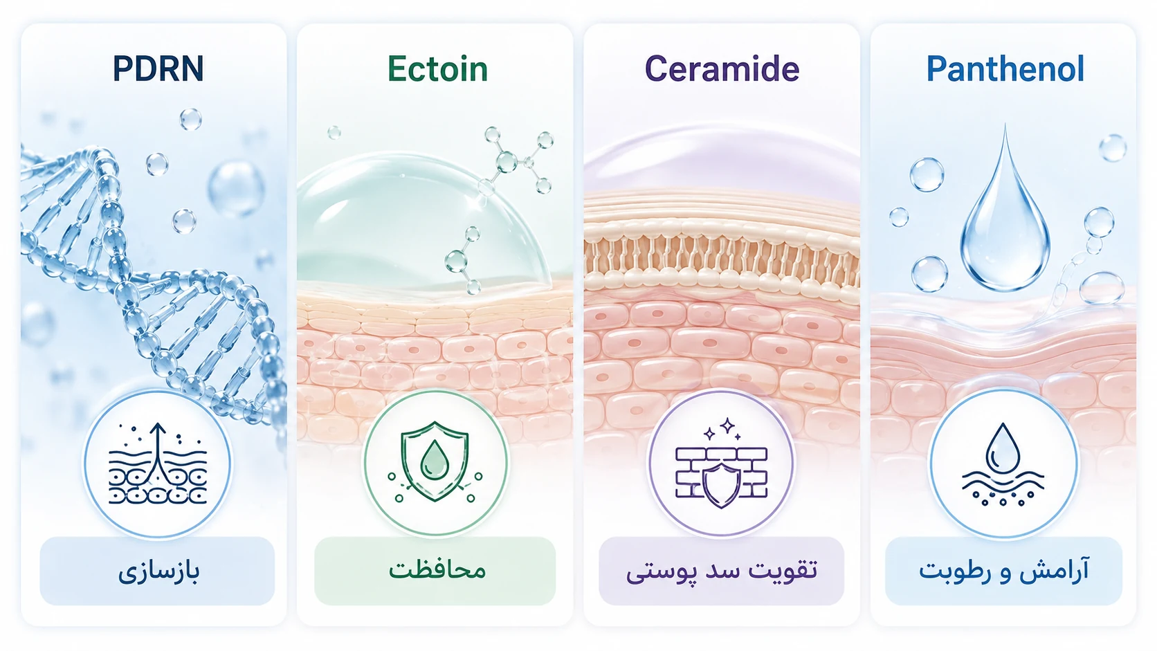 مقایسه PDRN، اکتوئین، سرامید و پانتنول در مراقبت از پوست