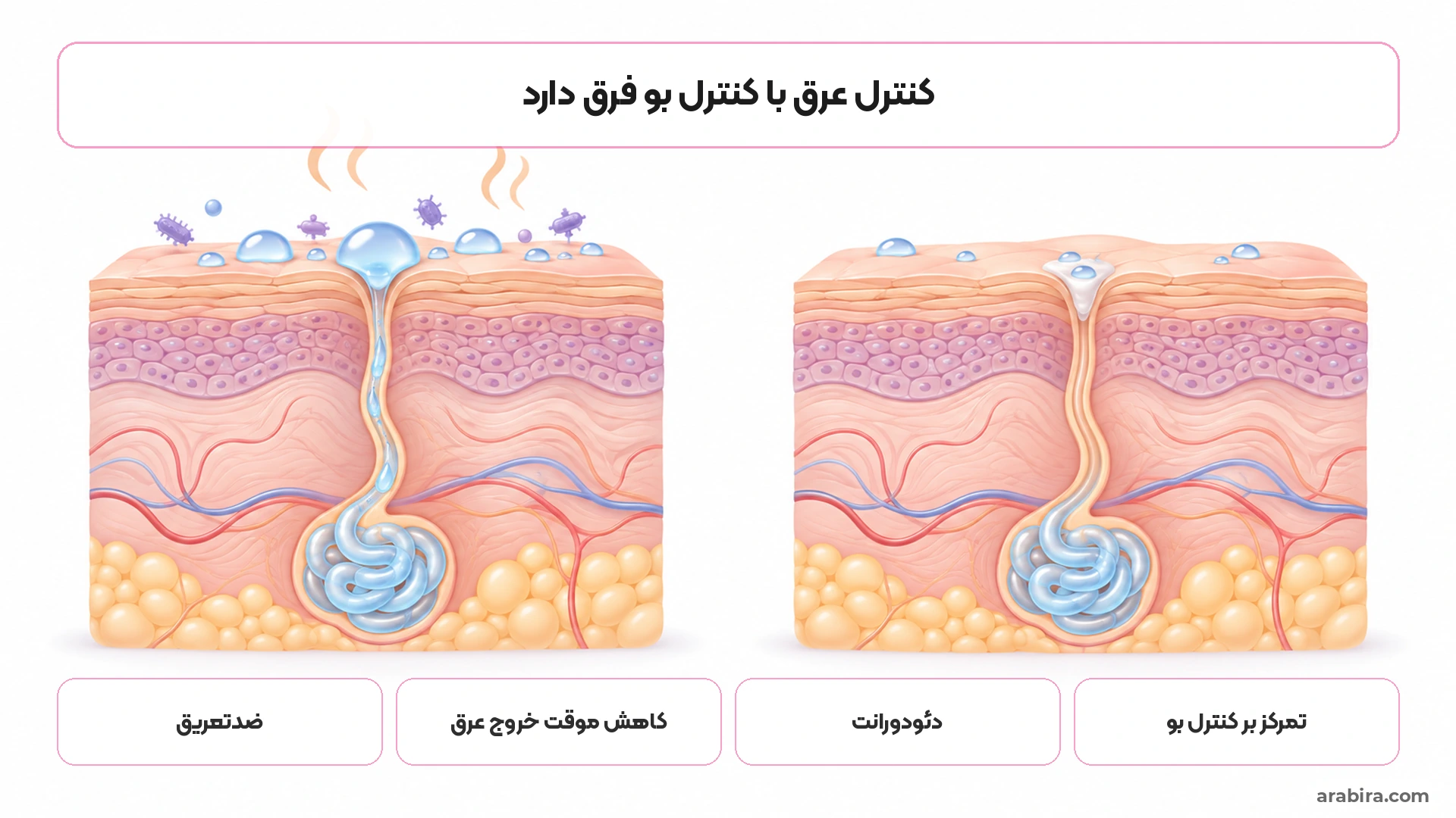 شماتیک مقایسه عملکرد ضدتعریق آلومینیومی و دئودورانت بدون آلومینیوم در کنترل عرق و بو