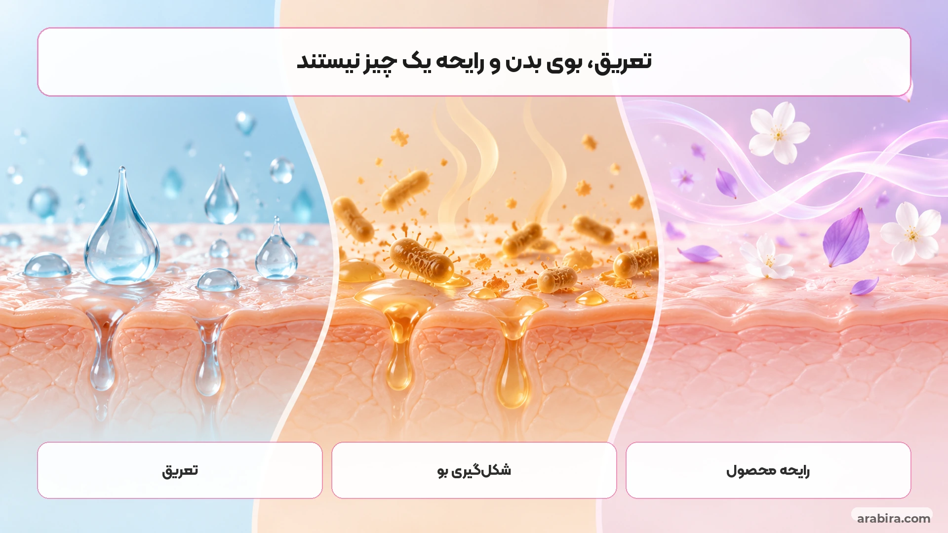 مقایسه مفهومی تعریق، بوی بدن و رایحه مام